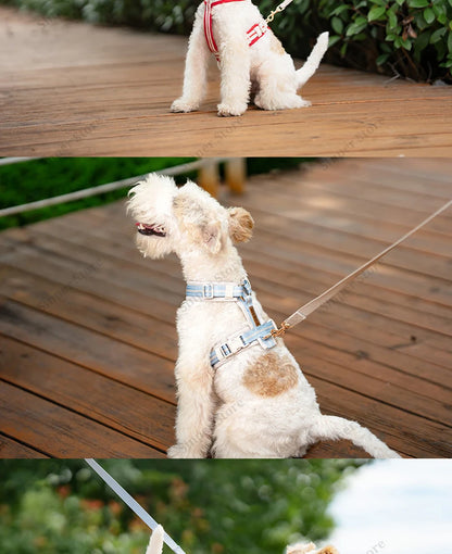 Adjustable Dog Vest Harness Breathable No Pull Harness for Small, Medium Large Dogs Harness for Walking Jogging Easy Step-in