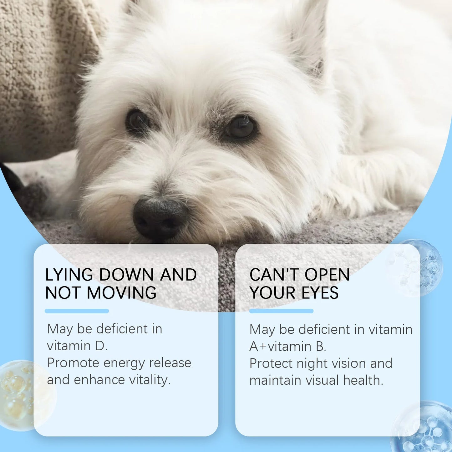 Multivitamin Supplement Tablets for Dogs and Cats, Meat Essence Formula, Vision Support, Strong Bones, Energy Metabolism Boost