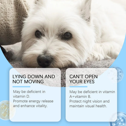 Multivitamin Supplement Tablets for Dogs and Cats, Meat Essence Formula, Vision Support, Strong Bones, Energy Metabolism Boost