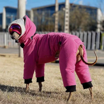 Winter Warm Rose Pink Coat for Female Italian Greyhound Waterproof Windproof High-Neck Jacket for Whippet in Cold Weather