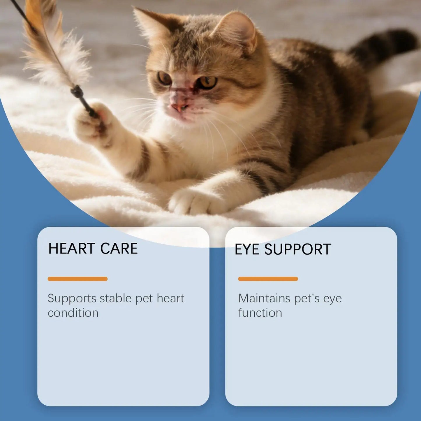 Pet Supplements 200g Daily Nutrition Cats Wet Or Dry Food Supplements for Small Medium Large Breeds Animals Home Travel Shelter