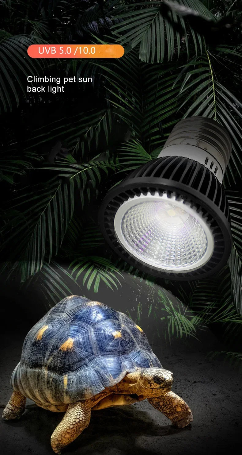 UVB+UVA Reptile 110/220V Basking LED Lamp Reptile Turtle Lizard Mane Lion Ultraviolet Calcium Lamp Sun Light Energy-Saving