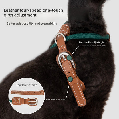 Adjustable X-Shape Cat Harness & Leash Set, Lightweight Escape Proof Cat Walking Harness,Leather 4-Gear Adjustment for 6kg Cats