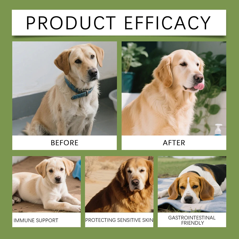 Gentle Canine Taurine Supplement For Daily Care Essential Daily Nutritional Support. Health Aging Support