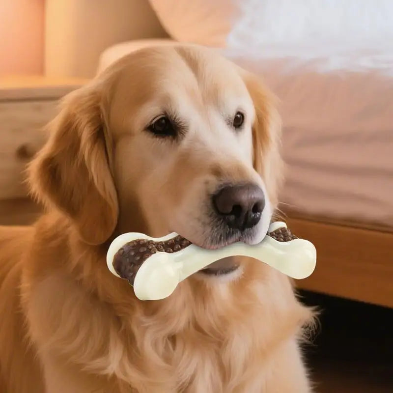 1pcs Dog Toys Eat Play Nylon+Leather Bone Stick Teething Stick Dog Toy Bite Gum Bone Resistant Bite Chewing Pet Supplies