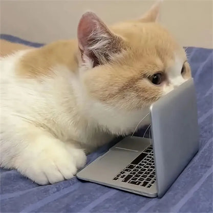 Mini Dollhouse Toy Cat Laptop Tiny Fake Computer Mirror for Cat (sliver) Interactive Cat Toy Creative Product For Kitten