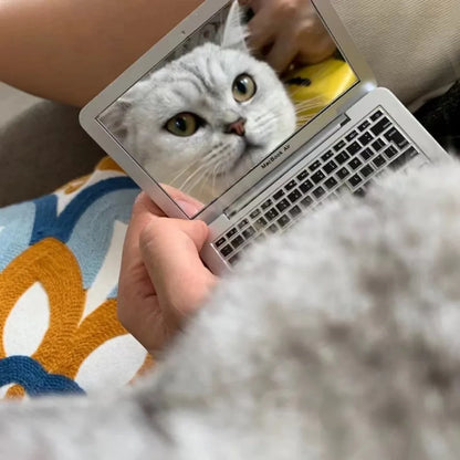 Mini Dollhouse Toy Cat Laptop Tiny Fake Computer Mirror for Cat (sliver) Interactive Cat Toy Creative Product For Kitten