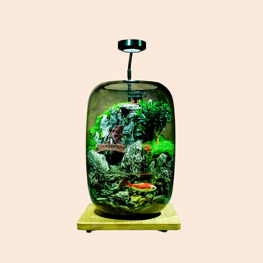 Glass Aquariums Ecological Hydroponics Plant Bottle Small Desktop Decoration Fish Tank Multi-functional Landscape Aquariums