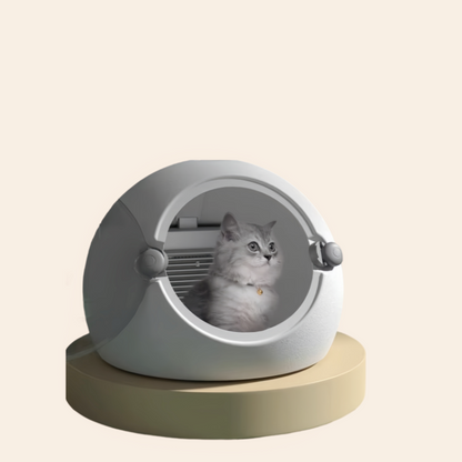 Pet drying box Automatic cat dryer Household small dog cat bath blowing water artifact，Cat, dog,pet dogs dryer,cat dog supplies