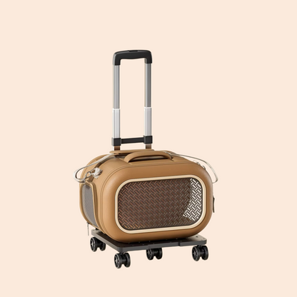 Cat bag, portable outdoor cat box, one shoulder crossbody, small cat space cabin, large capacity cat carrying bag, pet suitcase