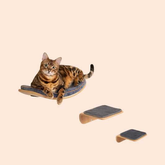 Contoured cat rack and wall mounted cat step with cushions wall mounted cat furniture for sleeping, playing, climbing