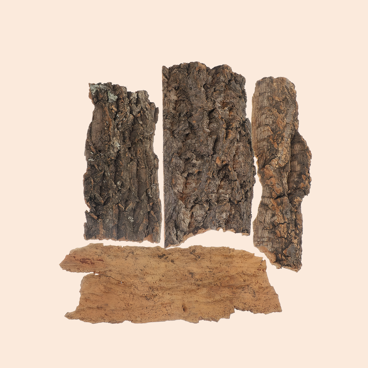 4Pc Natural Cork Bark Flat Reptile Tree Bark Terrarium Fish Tank Driftwood Reptile Platform Bark Pet Terrarium Decors