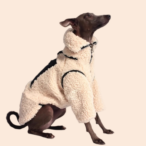 Thickened Lamb Wool Two in One Dog Cotton Coat Windproof Warm Coat High Necked Large Dog Outdoor Trendy Clothing Pet Winter Vest