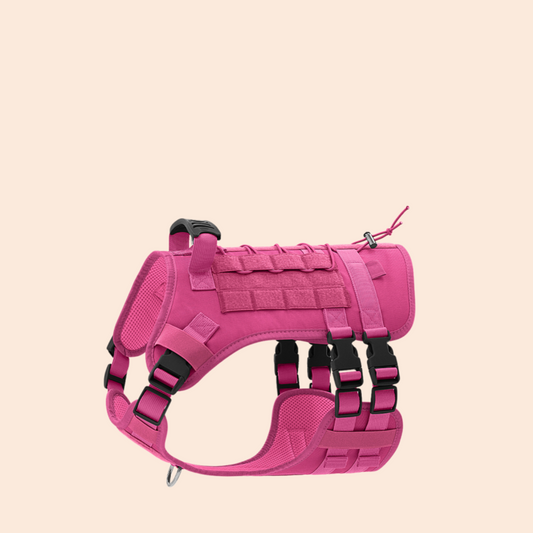 No Pull Dog Harness with Handle Soft Padded Vest Easy Control Reflective for Small Medium Large Dogs Outdoor Walking Training