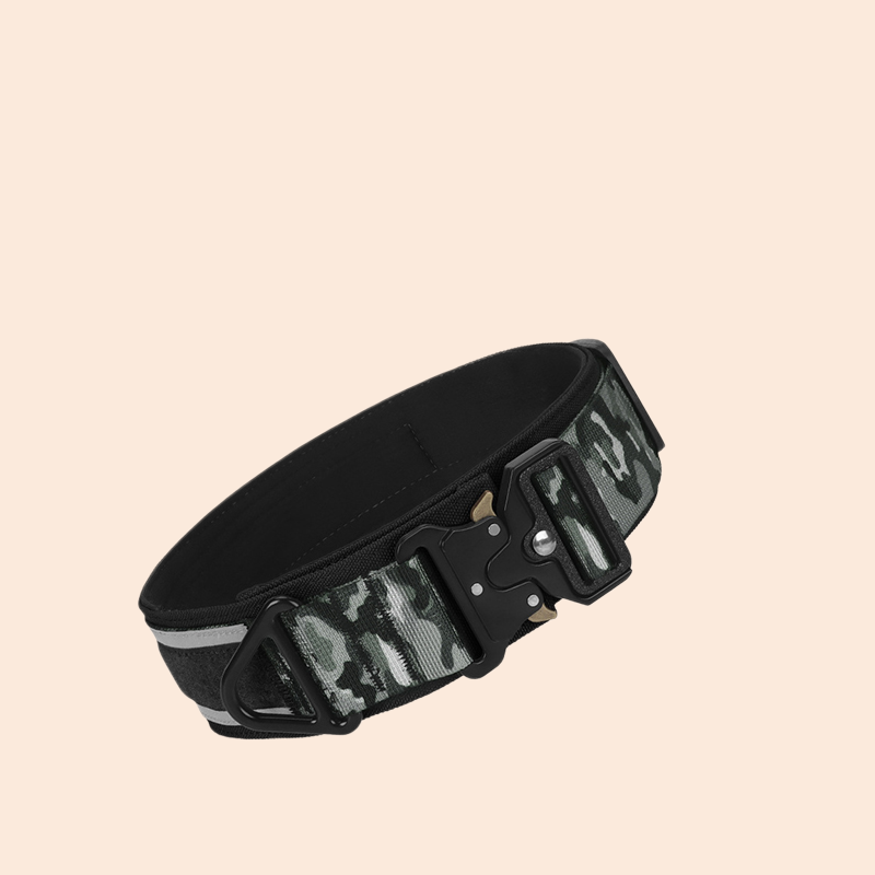 Tactical Dog Collar Adjustable Military Training Nylon Dog Collar with Control Handle and Heavy Metal Buckles for Large Dogs