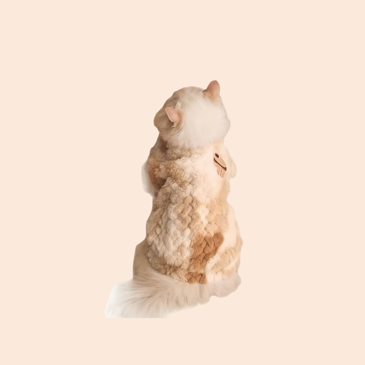 Warm Cat Vest Kitten Ragdoll British Shorthair Silver Shaded Cat Winter Autumn Clothes Cute Small Cat Outfit Cozy Pet Apparel